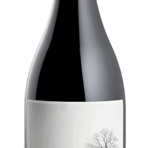 2024 Pinot Noir
